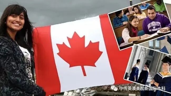留学性价比高,移民政策宽松