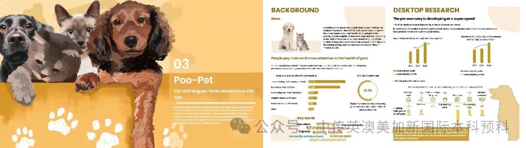 1+3 艺术与设计|中国传媒大学英澳美加新国际本科名校项目招生简章