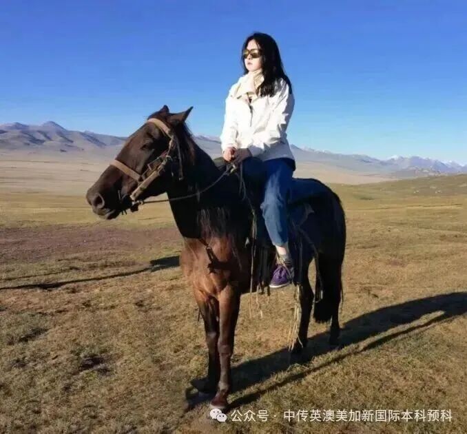 1+3悉尼大学培养方向|中国传媒大学英澳美加新国际本科名校项目招生简章