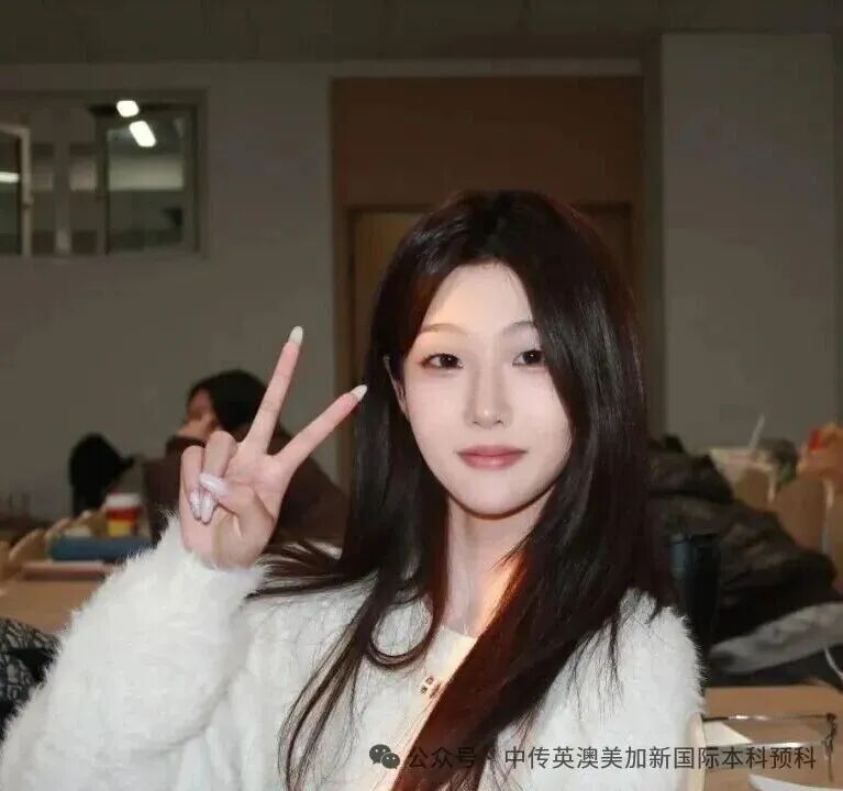 1+3悉尼大学培养方向|中国传媒大学英澳美加新国际本科名校项目招生简章