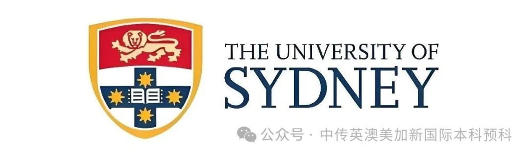 艺术与商业的双重奏：斩获3所世界前50院校录取