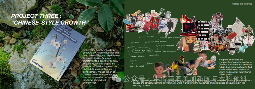 设计不设限：一个"零基础"高二学生的悉尼大学升学启示录